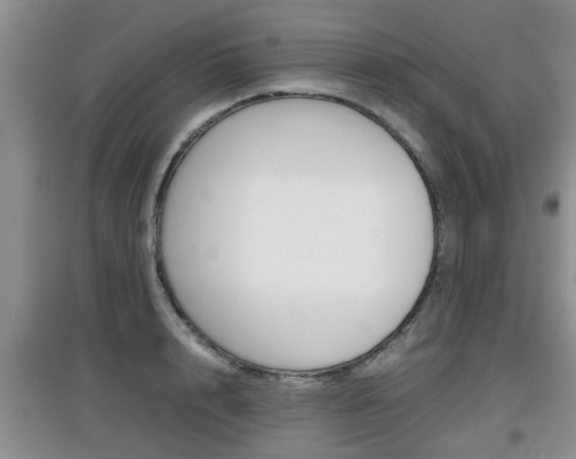 X0000097900848200803141004