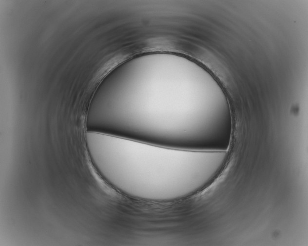 X0000097900849200803141004
