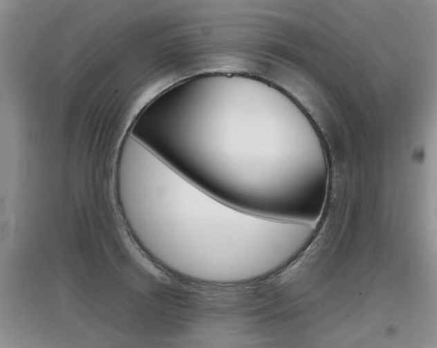 X0000097900850200803141004