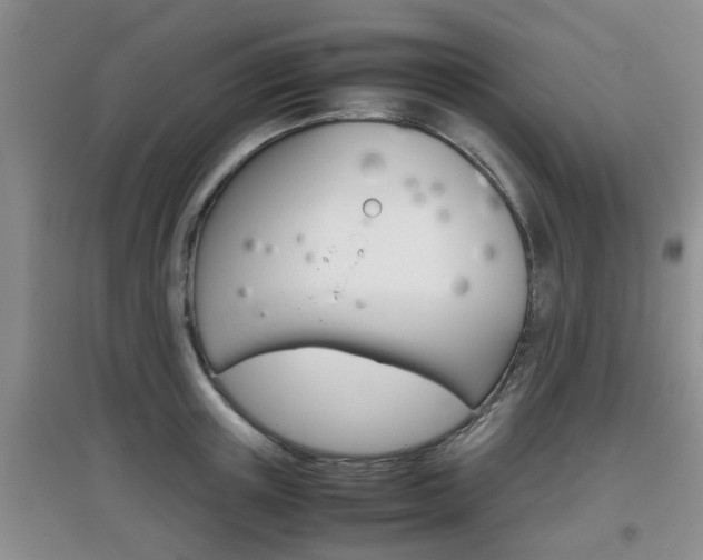 X0000097900851200803141004