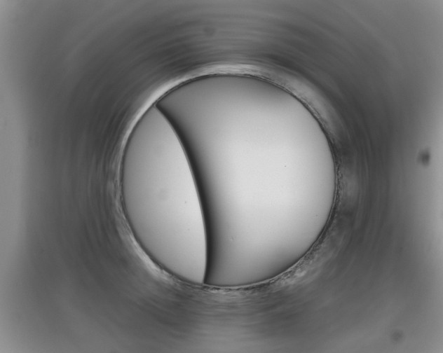 X0000097900852200803141004
