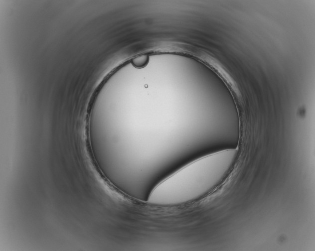 X0000097900853200803141004