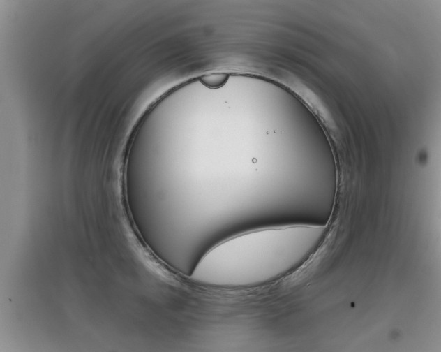 X0000097900854200803141004