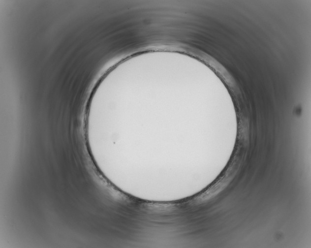 X0000097900856200803141005