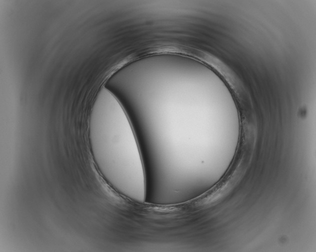 X0000097900857200803141005