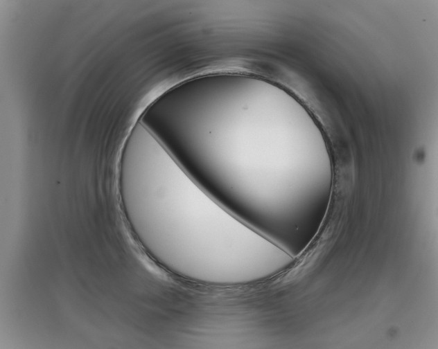 X0000097900858200803141005
