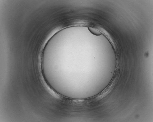 X0000097900859200803141005