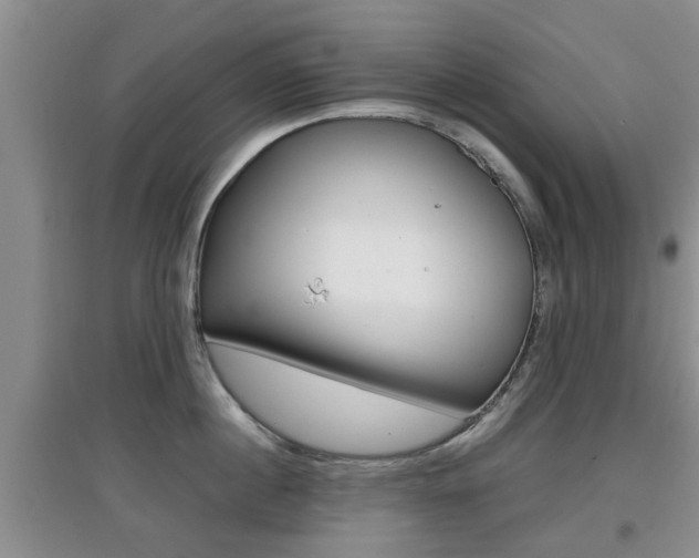 X0000097900860200803141005