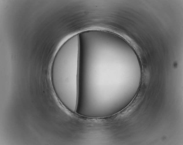 X0000097900862200803141005