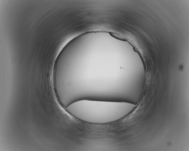 X0000097900863200803141005