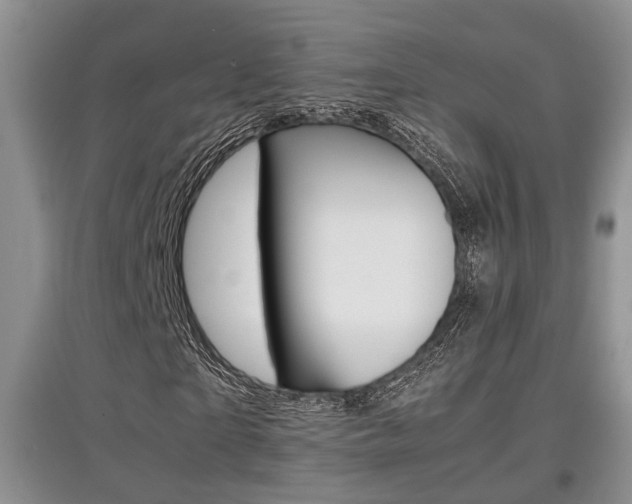 X0000097900865200803141004