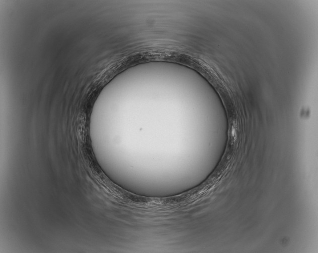 X0000097900867200803141004