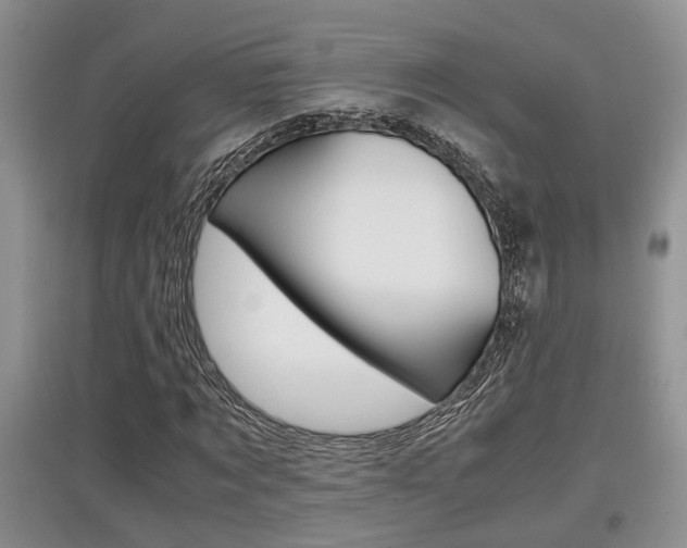X0000097900869200803141004