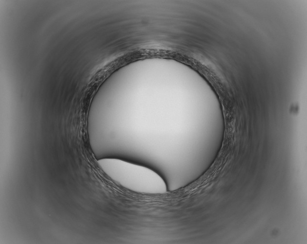 X0000097900870200803141004