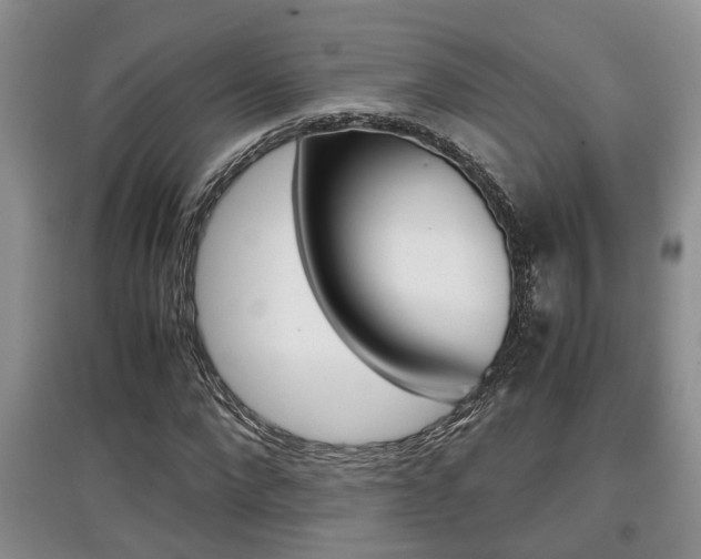 X0000097900872200803141004