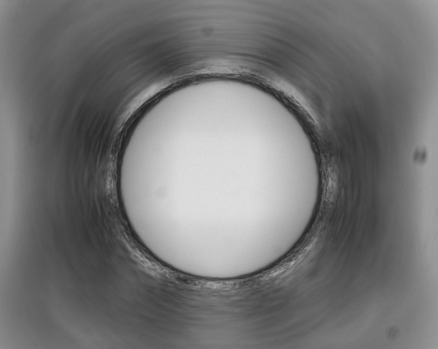 X0000097900874200803141004