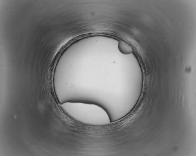 X0000097900875200803141004