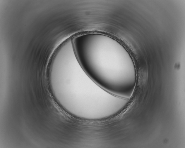 X0000097900876200803141004