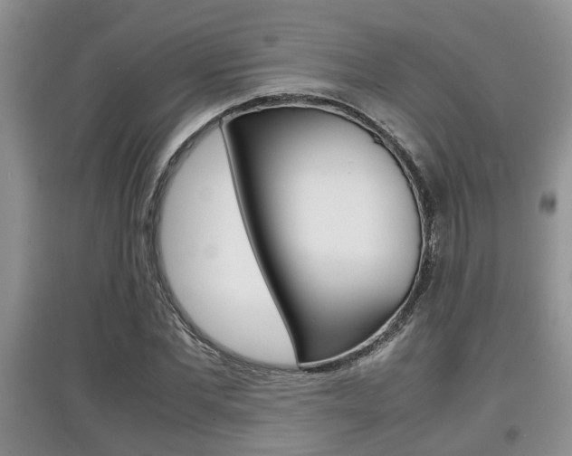 X0000097900877200803141004