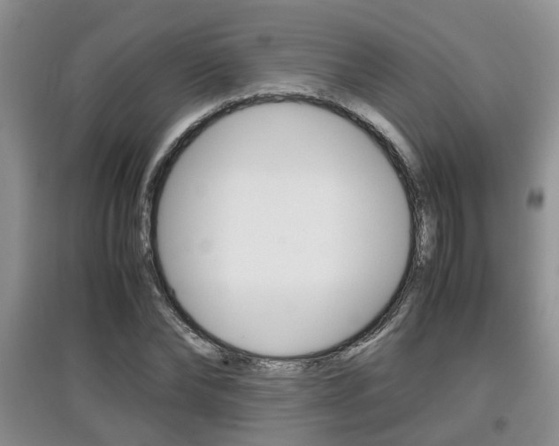 X0000097900878200803141004