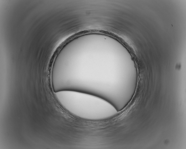 X0000097900879200803141004