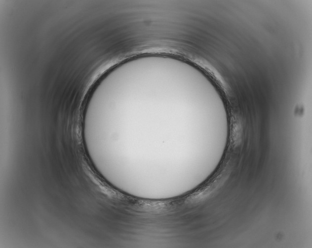 X0000097900882200803141004