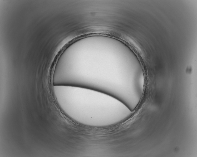 X0000097900883200803141004