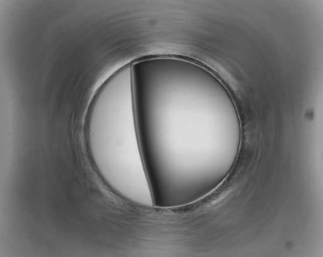 X0000097900885200803141004