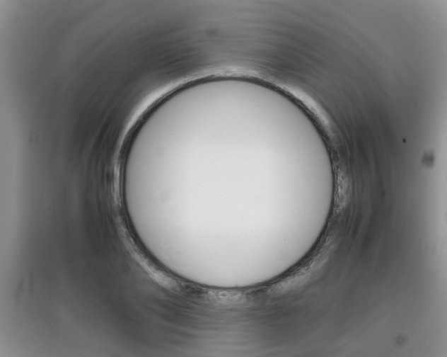 X0000097900886200803141004