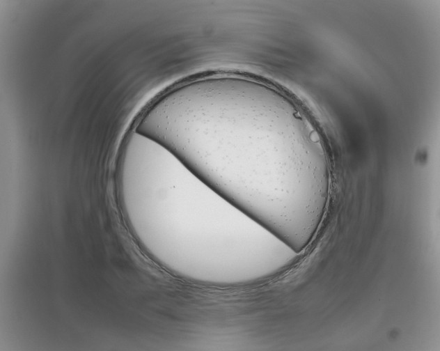 X0000097900887200803141004