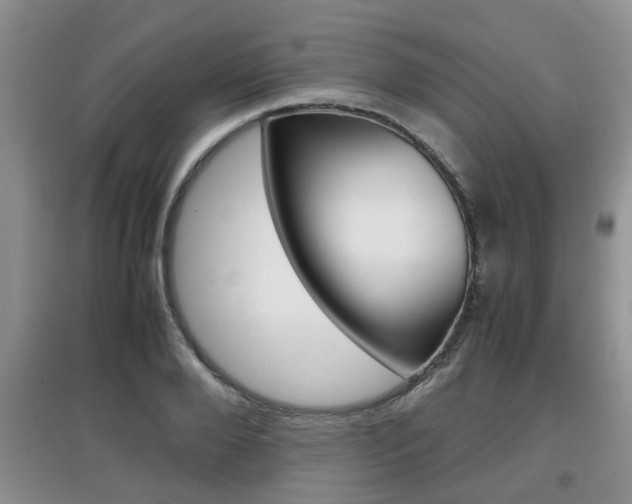 X0000097900888200803141004