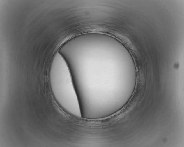X0000097900889200803141004