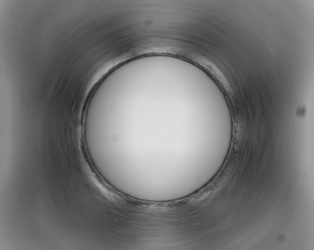 X0000097900890200803141004