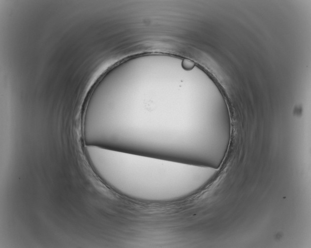 X0000097900891200803141004