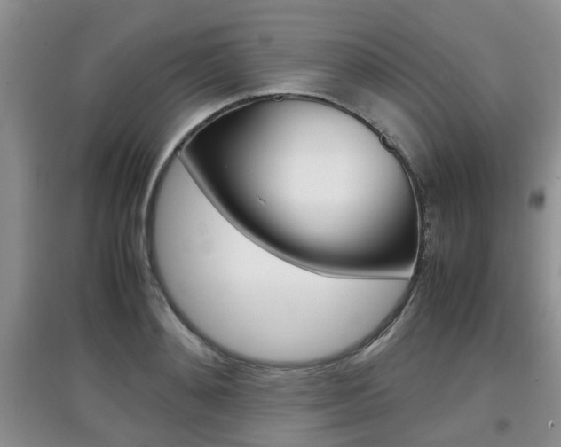 X0000097900892200803141004