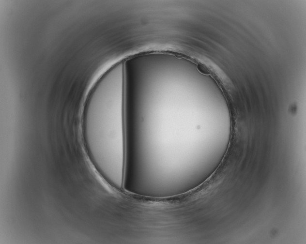 X0000097900894200803141004