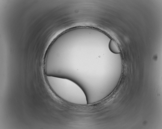 X0000097900895200803141004