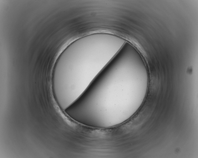 X0000097900898200803141004