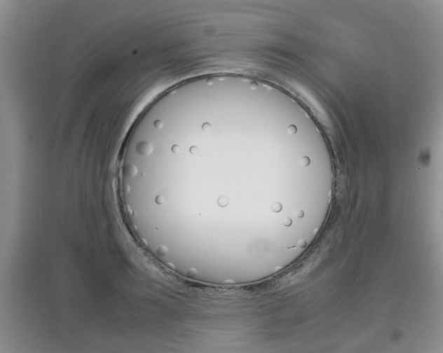 X0000097900899200803141004