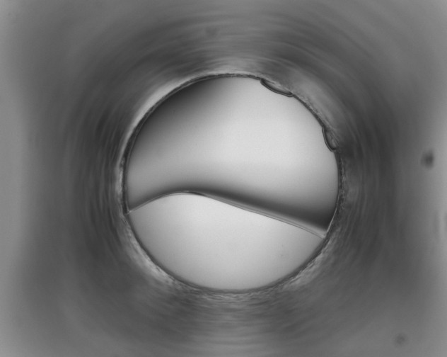 X0000097900900200803141003
