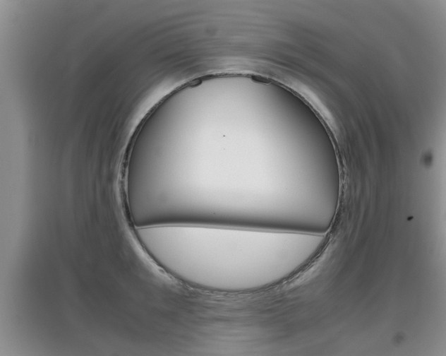 X0000097900901200803141003