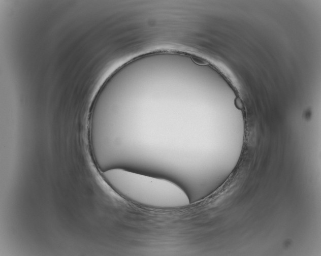 X0000097900903200803141003