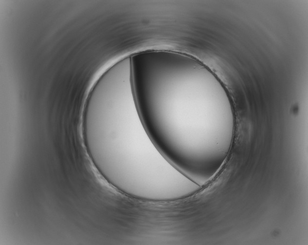 X0000097900904200803141003