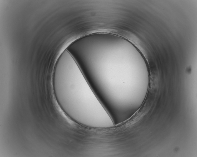 X0000097900906200803141003
