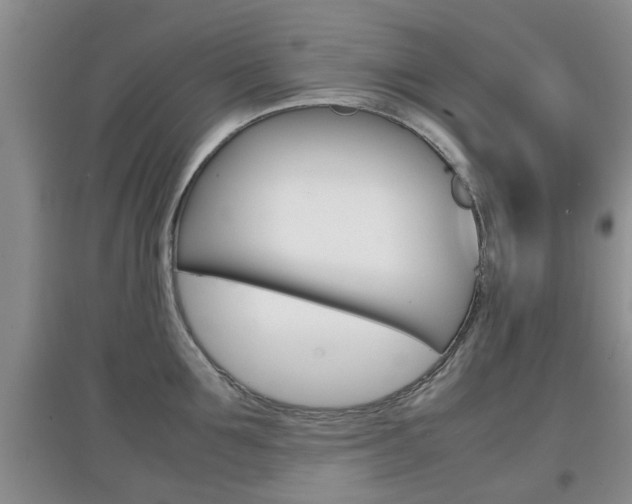 X0000097900907200803141003