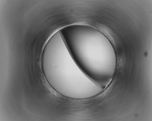 X0000097900908200803141003