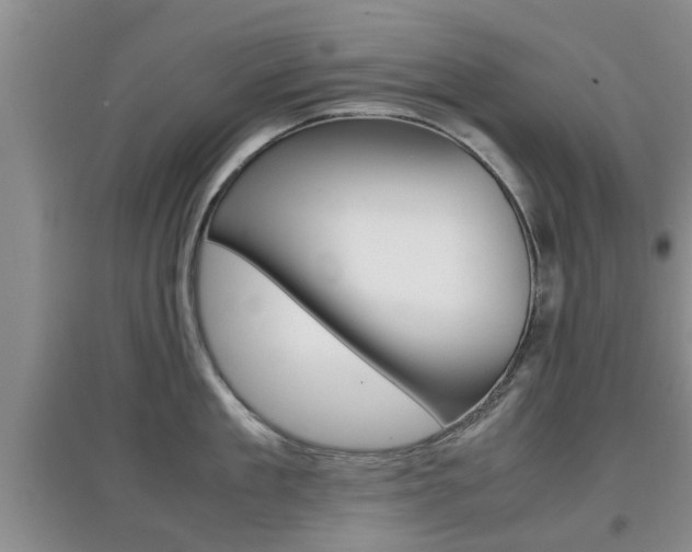 X0000097900909200803141003