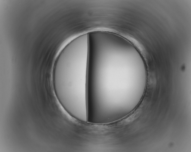 X0000097900910200803141003