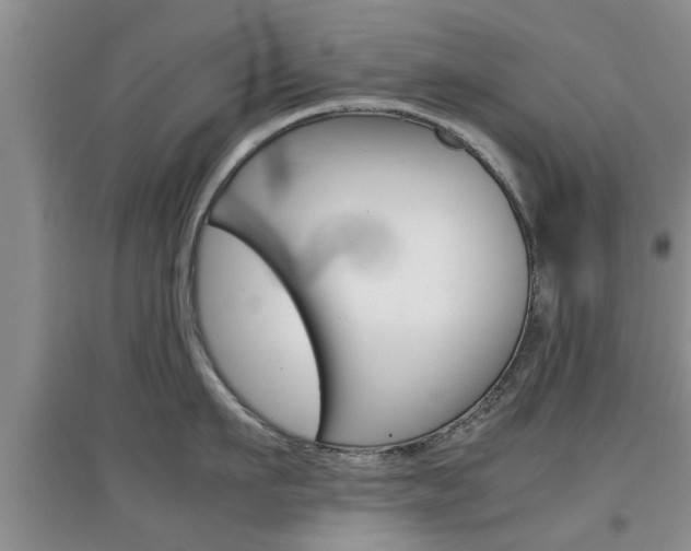 X0000097900911200803141003