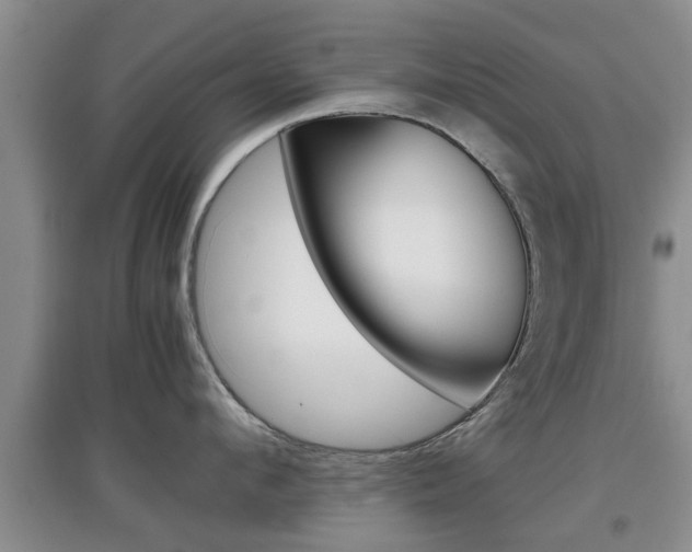 X0000097900912200803141003